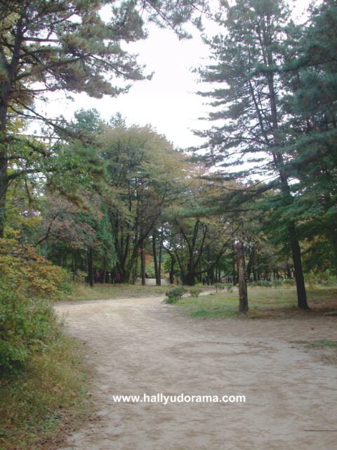 trees...