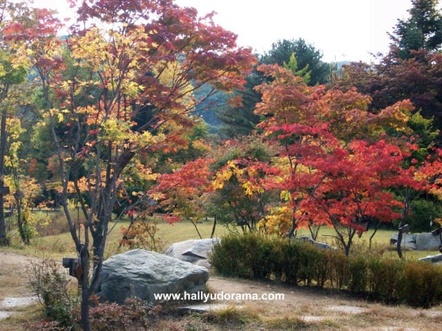 I love the autumn colors!