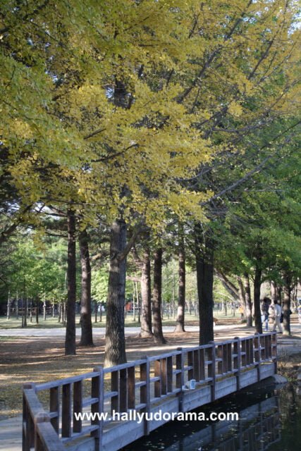 Trees...