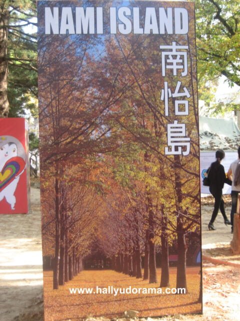 Seeing this assured me that I'm really in Nami Island. <3
