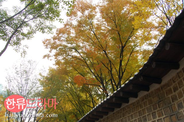 Korean autumn at Deoksogung